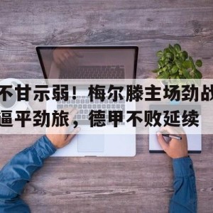 c7娱乐官网-不甘示弱！梅尔滕主场劲战逼平劲旅，德甲不败延续